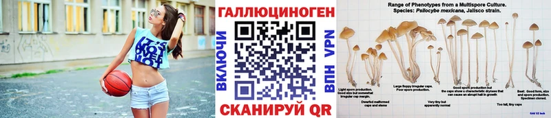 Псилоцибиновые грибы Cubensis  ОМГ ОМГ зеркало  Жиздра  наркотики 